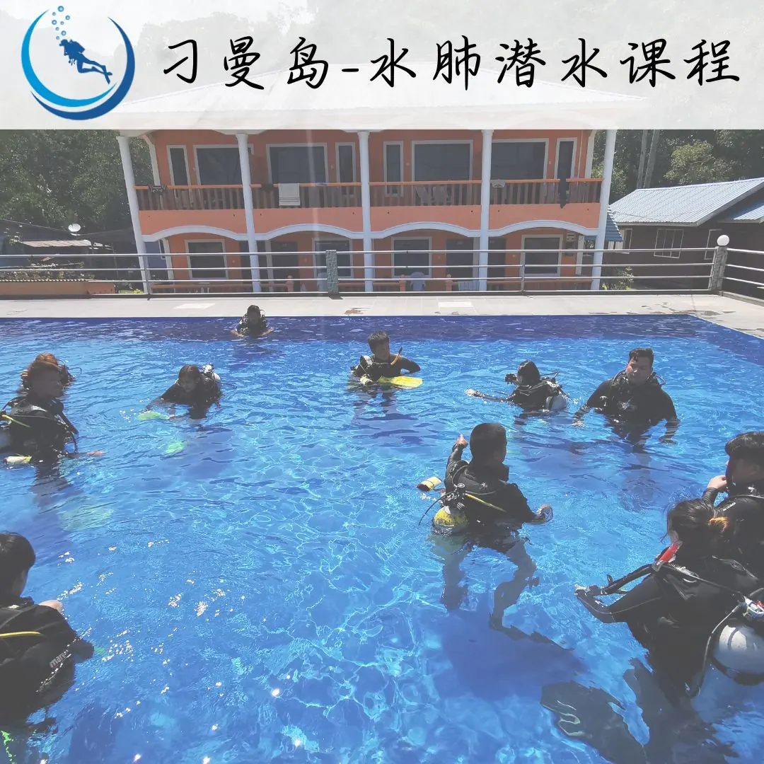 刁曼岛-水肺潜水课程