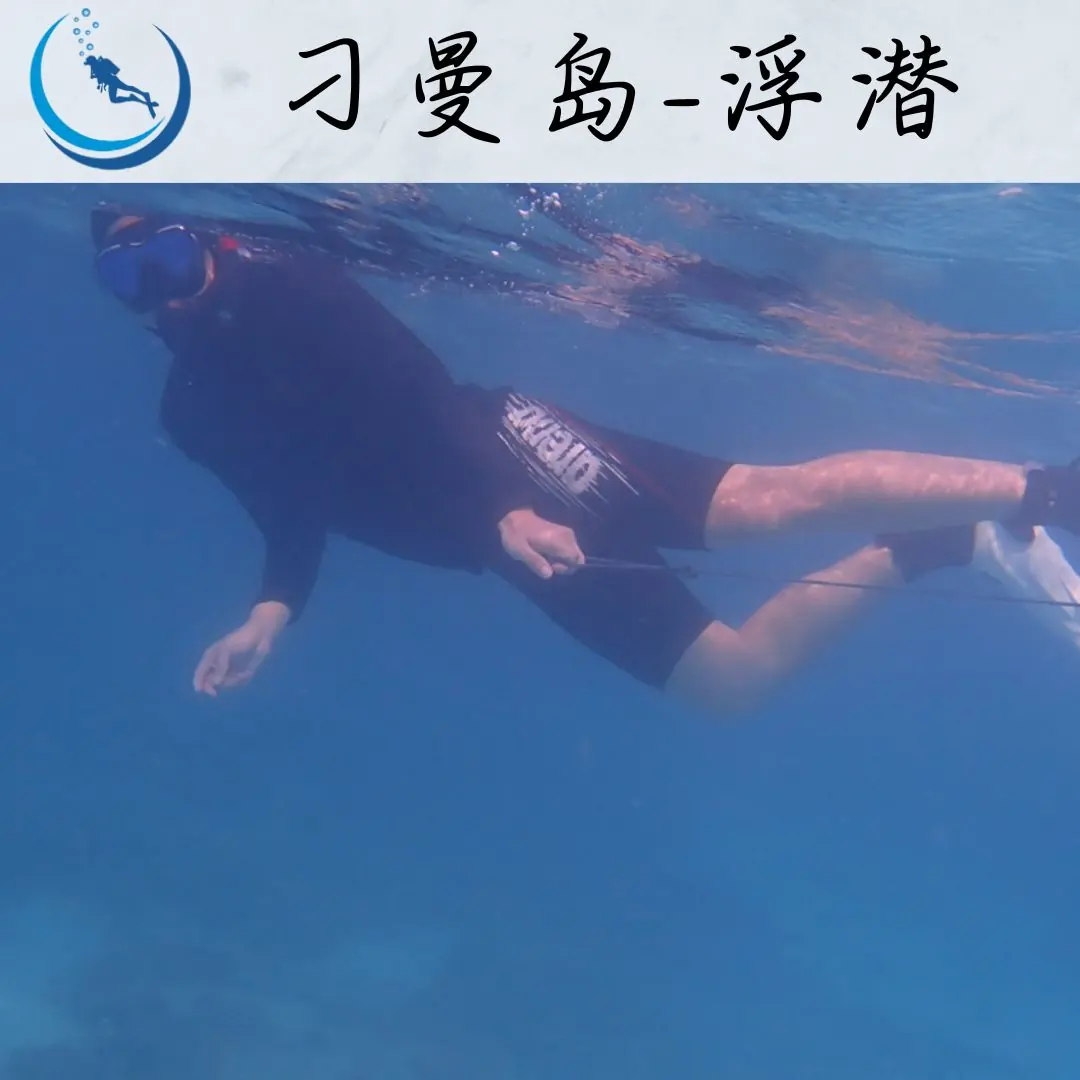 刁曼岛-浮潜